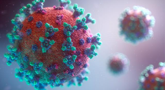 coronavirus_virus_20_000_jpg_640_350_1