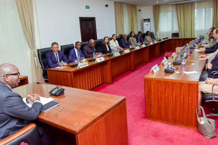 sama_lukonde_recoit_delegation_parlementaires_francais_23_png_711_473_1