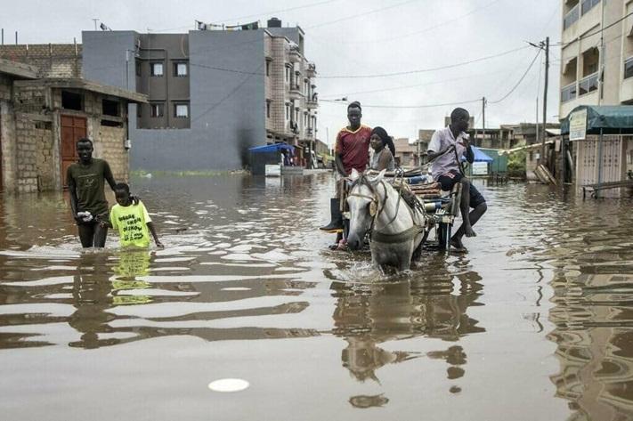 dakar_senegal_des_inondations_07_nov_2024_jpg_711_473_1