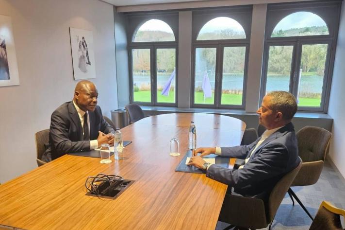 martin_fayulu_et_moise_katumbi_a_genval_240_jpg_711_473_1