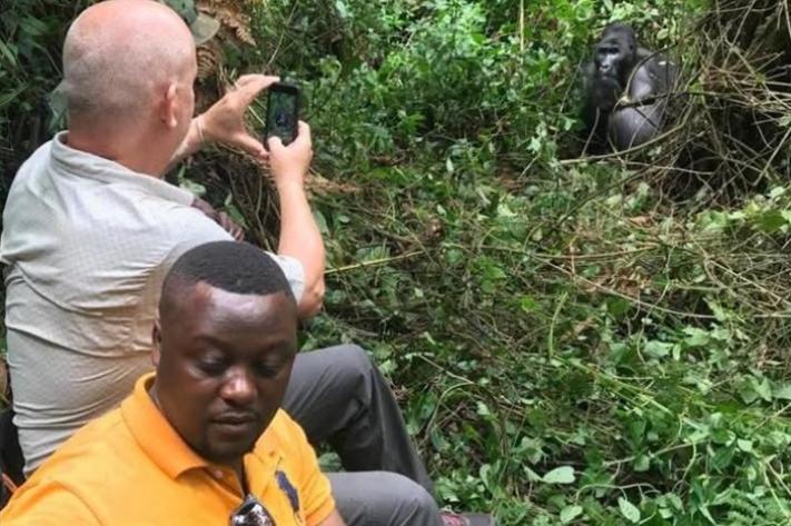 parc_national_de_virunga_pht_ks_08_juin_2026_jpg_711_473_1