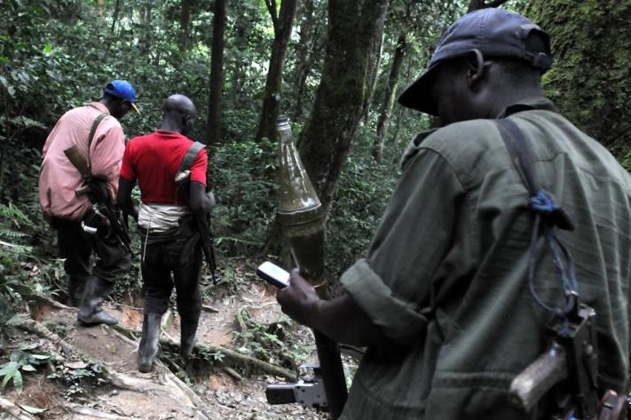 fdlr_photo_archives_pht_ks_17_juillet_2026_jpg_711_473_1