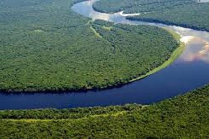 foret bassin_du_fleuve_congo_pht_ks_17_juillet_2026_jpg_711_473_1